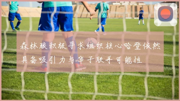 森林狼积极寻求组织核心哈登依然具备吸引力与华子联手可能性